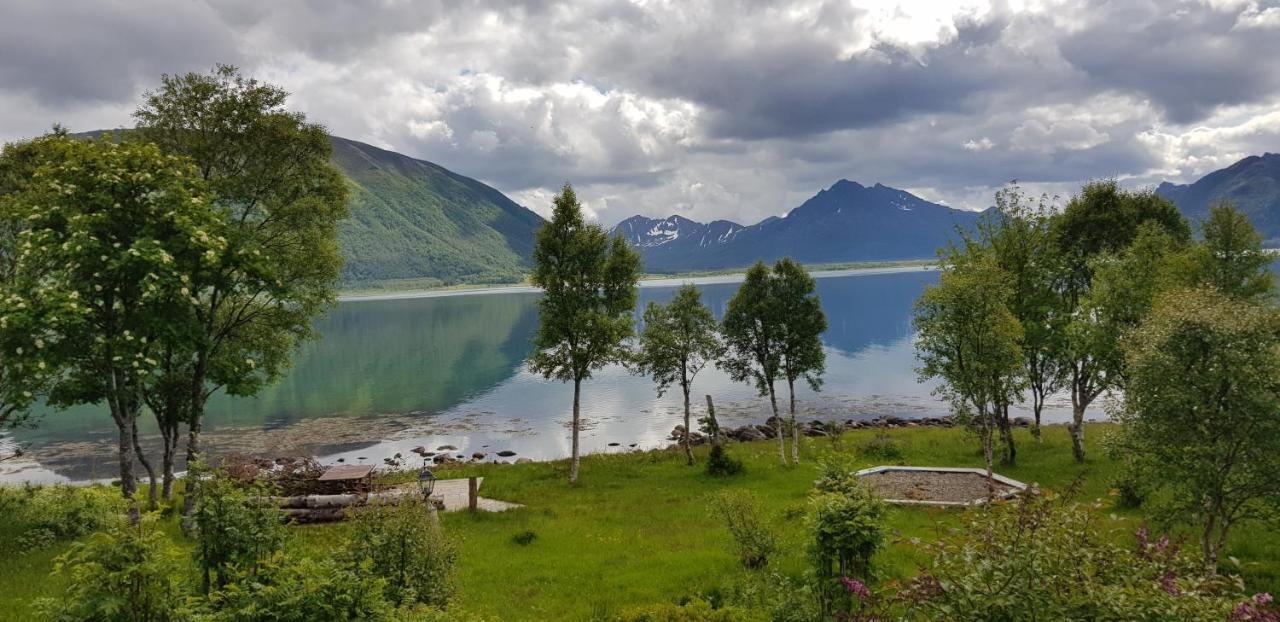 Вилла Lykkebo, Skjoldehamnveien 1151, Nygard, Andoy Risoyhamn Экстерьер фото