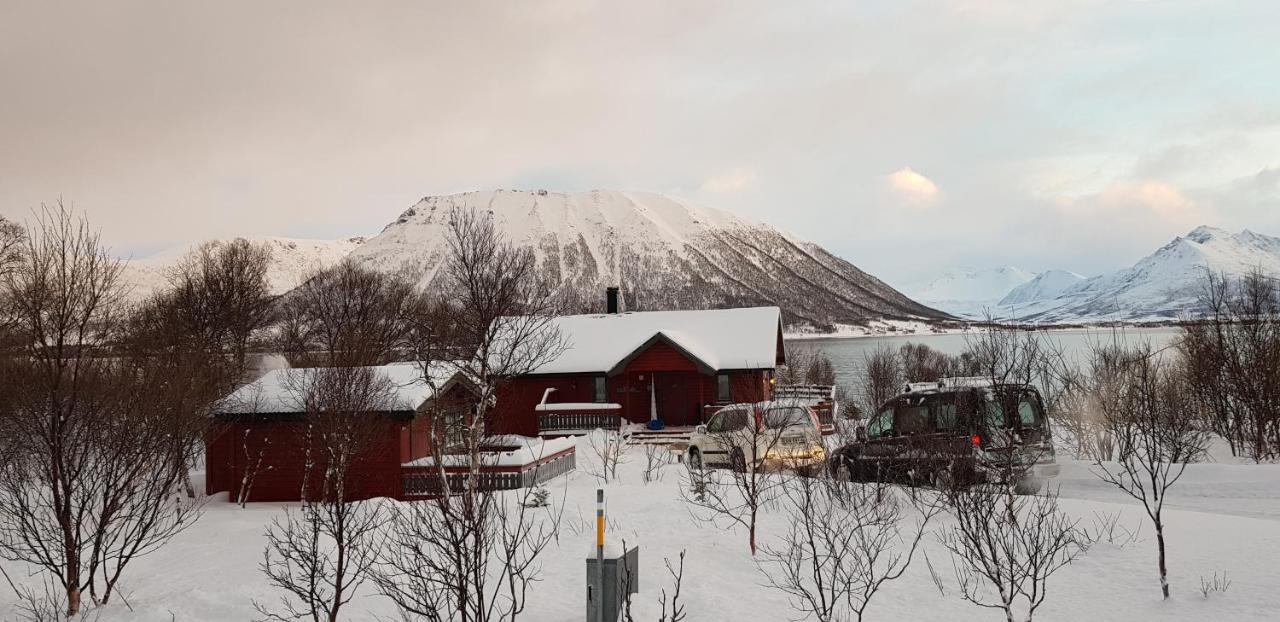 Вилла Lykkebo, Skjoldehamnveien 1151, Nygard, Andoy Risoyhamn Экстерьер фото