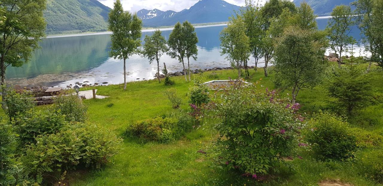 Вилла Lykkebo, Skjoldehamnveien 1151, Nygard, Andoy Risoyhamn Экстерьер фото